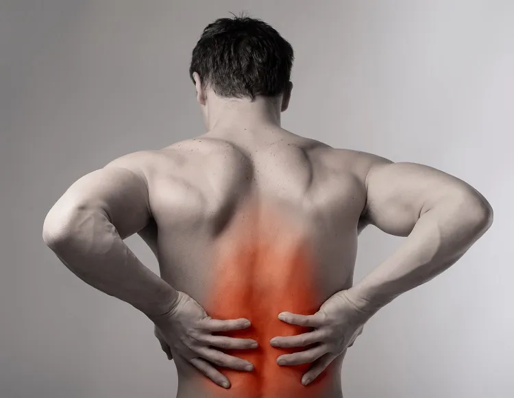 Top rated chiropractors in city, st | top rated chiropractor in city, st | chiropractor