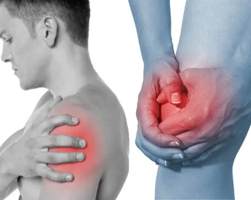 Top rated chiropractors in city, st | top rated chiropractor in city, st | chiropractor